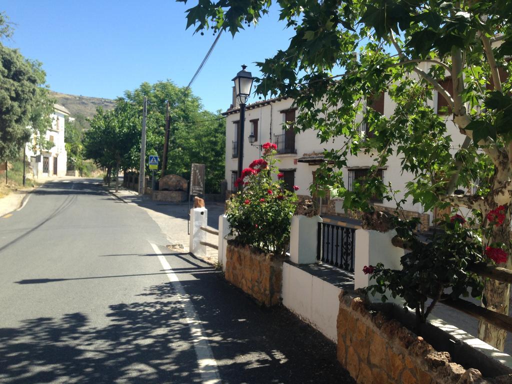 Guest house El Tinao